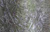 Perry Green fibreglass roof work